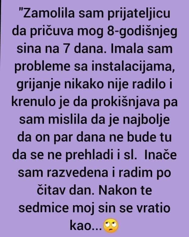 Zamolila sam prijateljicu da pričuva mog 8-godišnjeg sina na 7 dana.