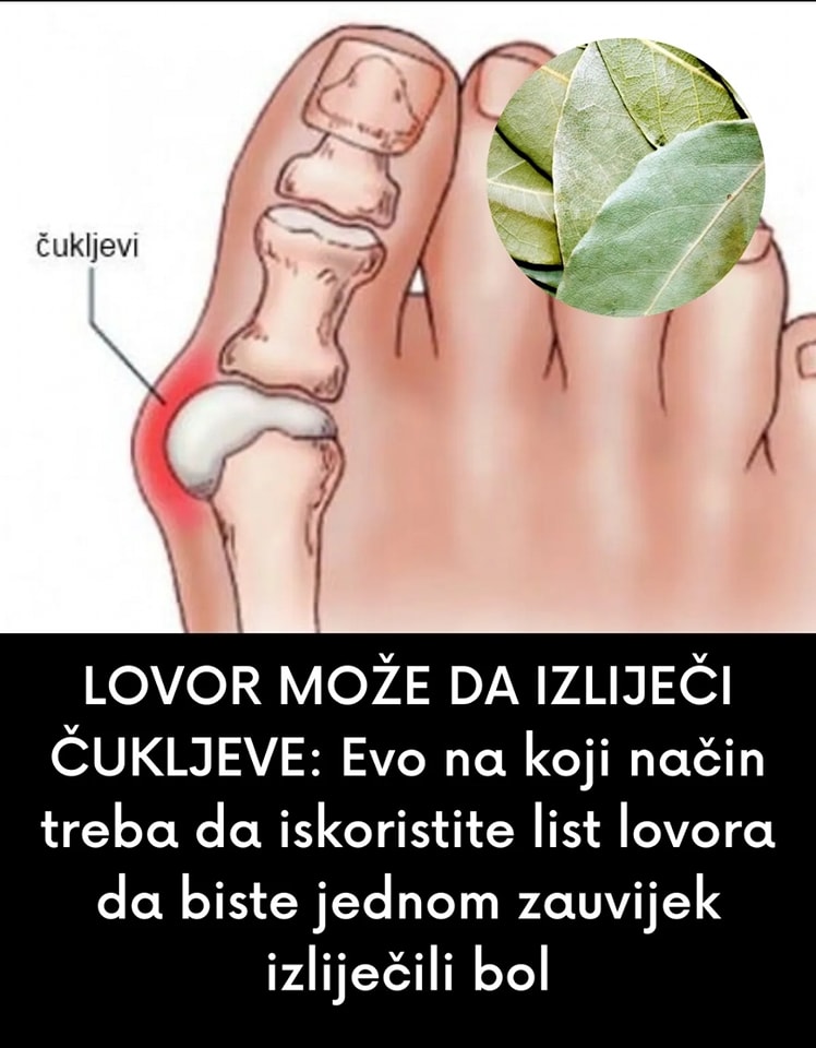 Lovorov list je na našim prostorima poznat