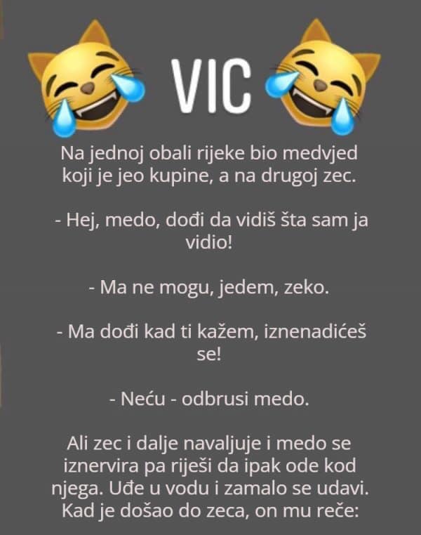 Na jednoj obali rijeke bio medvjed koji je