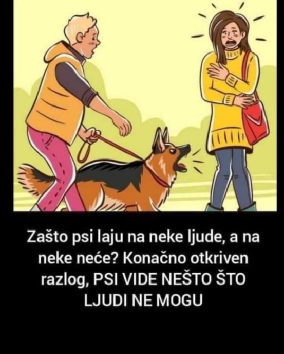 Psi su uvijek u položaju upozorenja kada