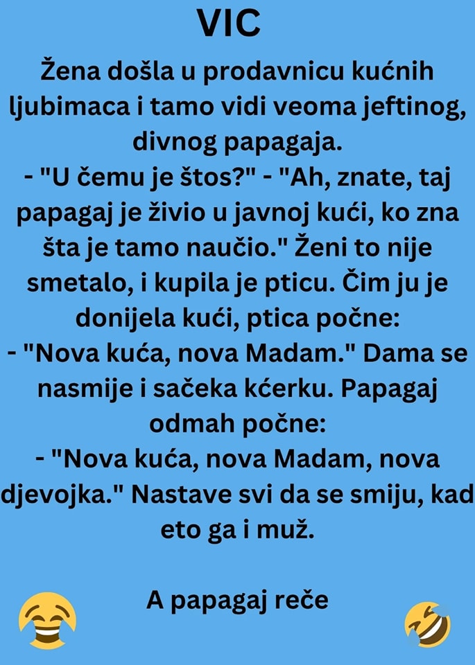 Mi smo se svi slatko ismejali, nadamo se da će i vama ovaj papagaj ulepšati dan.