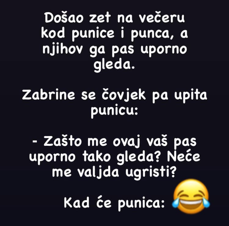 Došao zet na večeru kod punice i punca, a njihov ga pas uporno gleda.