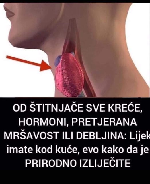 Ovaj ukusni napitak sadrži niz sastojaka koji podstiču rad štitne žlIJezde