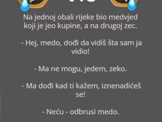 Na jednoj obali rijeke bio medvjed koji je jeo kupine, a na drugoj zec.