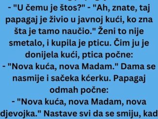 Žena došla u prodavnicu kućnih ljubimaca i tamo vidi veoma jeftinog