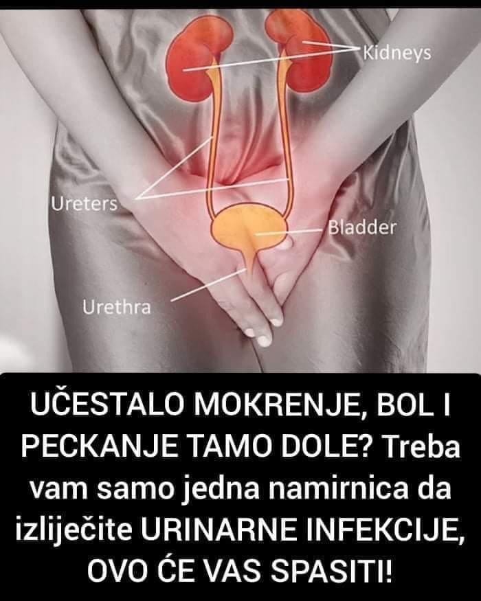 UČESTALO MOKRENJE, BOL I PECKANJE TAMO DOLE?  Treba vam samo jedna namirnica da izliječite URINARNE INFEKCIJE, OVO ĆE VAS SPASITI!