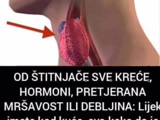 Ovaj ukusni napitak sadrži niz sastojaka koji podstič