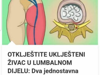 Kada međupršljenski disk, poslednje protruzije