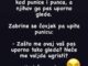 Došao zet na večeru kod pune i tasta, a njihov ga pas uporno gleda.