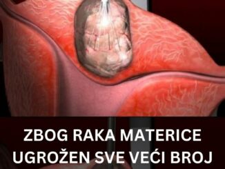 Rak materice može biti podeljen na dva različita tipa – nešto češći