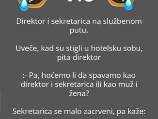 Direktor i sekretarica na službenom putu…  Navečer