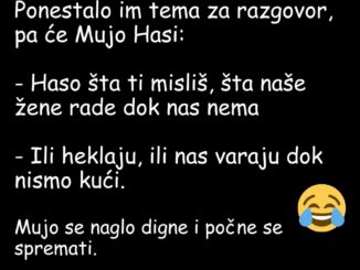 Mujo i Haso otišli u ribolov. Ponestalo im tema za razgovor