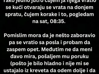 “Svako jutro muž ide na posao oko 7 a ja ne ustanem