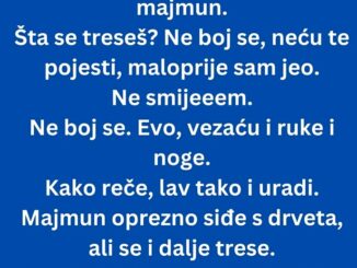 Sretne lav majmuna i reče mu: Siđi sa drveta da se igramo.