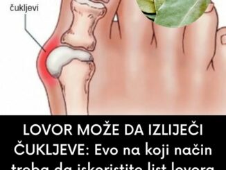 Lovorov list je na našem području poznat kao izuzetan