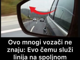 Ova isprekidana liniju koja se nalazi na spoljašnjim