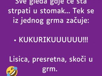 Ide lisica šumom, gladna. Sve gleda gdje će šta strpati u stomak…