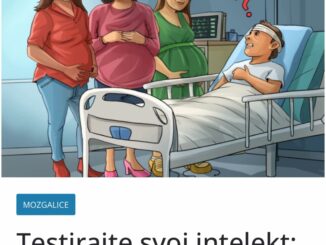 Zagonetke i mozgalice su oblike intelektualne