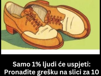 Na ovoj slici se nalazi par pažljivo izrađenih smeđih