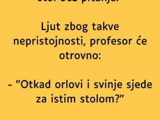 Profesor sjedi u menzi i jede. Dolazi student i sjedne