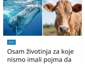 Evolucija je fascinantan proces koji stvara