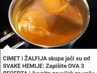 Zimu bi mnogi od nas najradije prespavali poput medveda