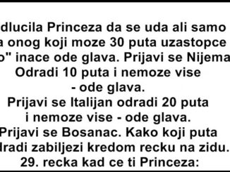 Odlučila princeza da se uda, ali samo za onog koji može