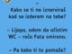 Jedan dan upita Mujo svoju ženu Fatu: – Kako se ti ne