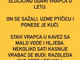 Vozi mladić motor i slučajno udari vrapca u letu.