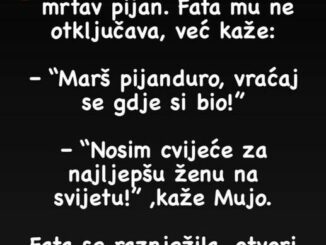 Vraća se Mujo kući mrtav pijan